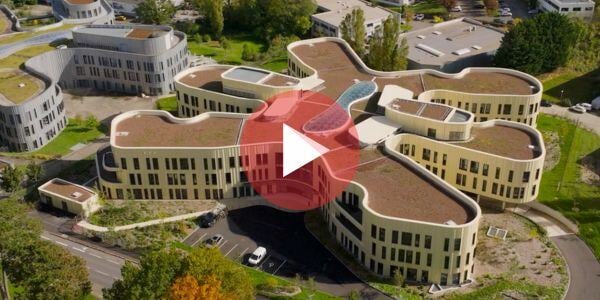 Affichez les images de cet email, ce sera plus joli !