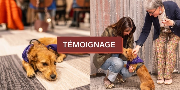 Témoignage : Girls in Paillettes à Lille